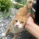 삼동담배집 | 8월 드루와..