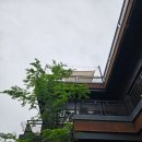 카페137에스티.