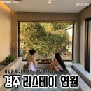 리스테이연월 이미지