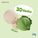 대현슈퍼 | [임신 30주] 30주 진입 ! 만삭사진 찍기