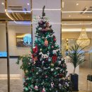 플러스골프아카데미 이미지