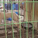 사체농장 이미지