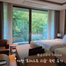 엑스트라 | 제천 '포레스트 리솜' S20 객실 숙박 후기