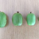 세한농원 이미지