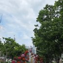 더온의료기 울산태화강지점 | 울산 태화강 국가정원 현장견학 후기, 정원해설사와 함께 걸으니 더 깊어졌던 초록의 시간