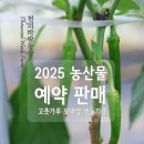 천의바람농장 이미지