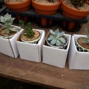 맛있는향기 이미지