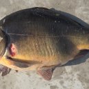 오궁낚시터 이미지