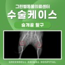괴산동물병원 네이버블로그
