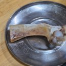 정 뼈 해장국 | 주안맛집 별미뼈해장국 다녀온 후기(11.20.)