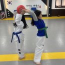 사자후 태권도 이미지