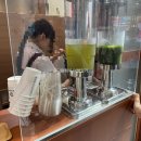 지코커피 | [2025 일본 여행] 오사카 타츠스시 마구로 잇테츠/ 더 로스터스 커피/ 우지코엔 아이스크림 등