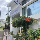 [용인 처인구 카페] 나무기린 플라워 카페
