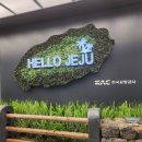 배배게스트하우스 이미지
