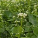 농업회사법인(주)에코 이미지