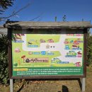 쌍둥이농장 | [강릉] 🐻 강릉 가볼만한곳 상위 랭킹! 아이들과 2~3시간 순삭 ❣️ 쌍둥이동물농장 리얼 후기