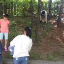 새숲공부방 이미지