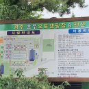 경주초우오토캠핑장 이미지