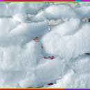 윤태금 복국 이미지