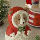 케이코야 이미지