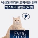 에버크린 이미지