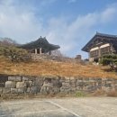 칠장사 입구 | 🌿 경기도 절 추천 칠장사 힐링 산책 후기