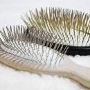 물빛동물병원 이미지