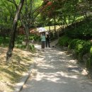 [대전] 탄방동 '남선근린공원 숲길 산책' ＜3＞ 이미지