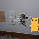 성우전파사