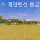 파라독스글램핑 이미지