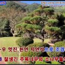 촬영소공인중개사사무소 이미지