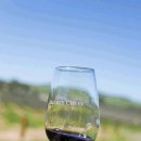 Barossa Valley Tour 바로사벨리 와인투어 $79.00 이미지