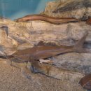 해양생태전시관 이미지