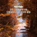 (주)경주산림환경 | 경주 산림환경연구원 가을 11월 가볼만한곳 단풍 절정 시기