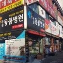 우솔동물병원 이미지