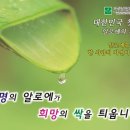 김정문알로에해마루지사
