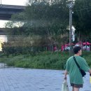 둘이산장 | 뜨거운 여름밤은 가고 남은건 둘이산장 계곡과 한강수영장 후기뿐이지만