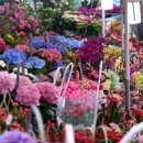 사랑으로 이미지