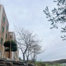 무룡초등학교 | [교육연극] 초등학교 1학년 연극놀이 수업