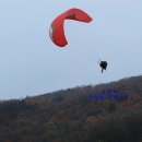 용인자연휴양림 숲속체험관 이미지