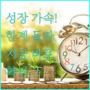 🚀 더 높은 곳으로, 우리의 성장은 현재진행형