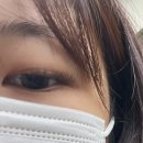 모드니뷰티 - 진주시 | 제주시 연동 속눈썹 연장 모드니살롱 시술 후기