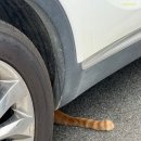 자성화맛집코다리네 아산온양점 | 2025 오쥬부의 일기 24