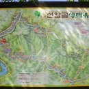 선암골 이미지