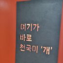 (주)아이워너비 | [김해애견카페] 아이들의 천국, 그리고 개들의 천국 &#34;김해 워너비독&#34; 실내 루프탑 애견카페 방문후기