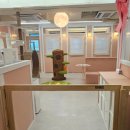 강남 고양이 호텔 미용 츄캣 이미지