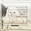 해루 이미지