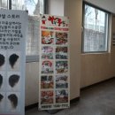 라화쿵부 회룡점 이미지