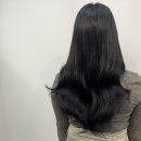 라벨라 베라