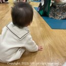 딩동댕 플레이 키즈스쿨(8~14개월) 이미지